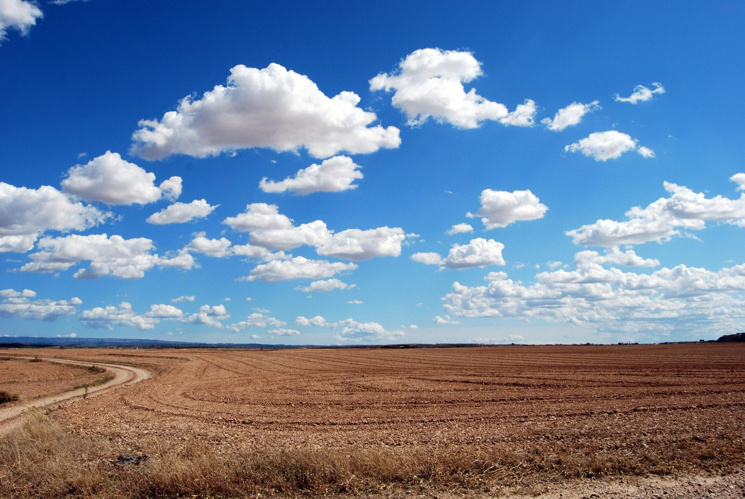 Dried up agricultural fields.