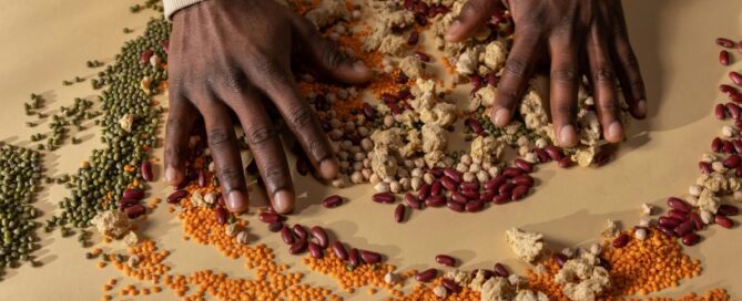 Hands spreading a variety of legumes over a table.